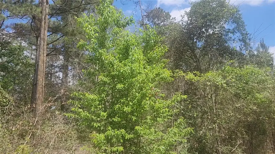 Lot 8 Yupon Lane, Plantersville, TX 77363 - #2