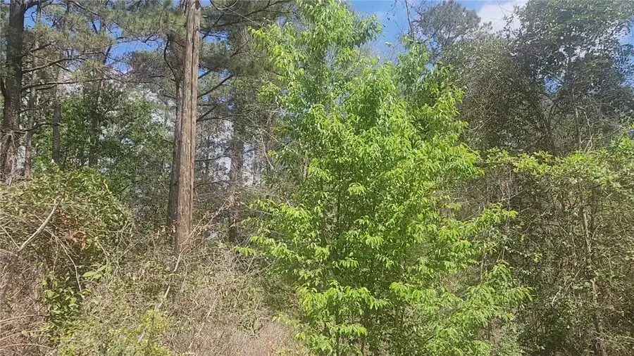 Lot 8 Yupon Lane, Plantersville, TX 77363 - #3
