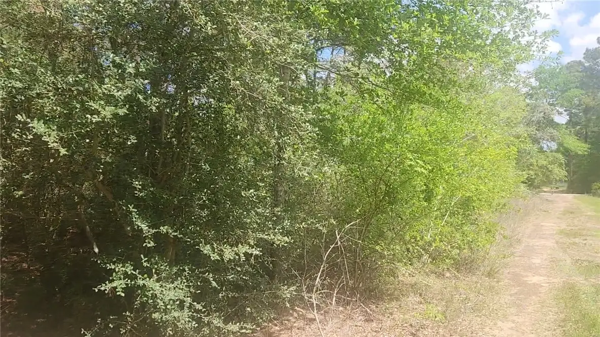 Lot 5 Tupelo Lane, Plantersville, TX 77363 - #1
