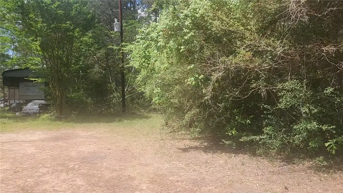 Lot 8 Soapberry Lane, Plantersville, TX 77363 - #1