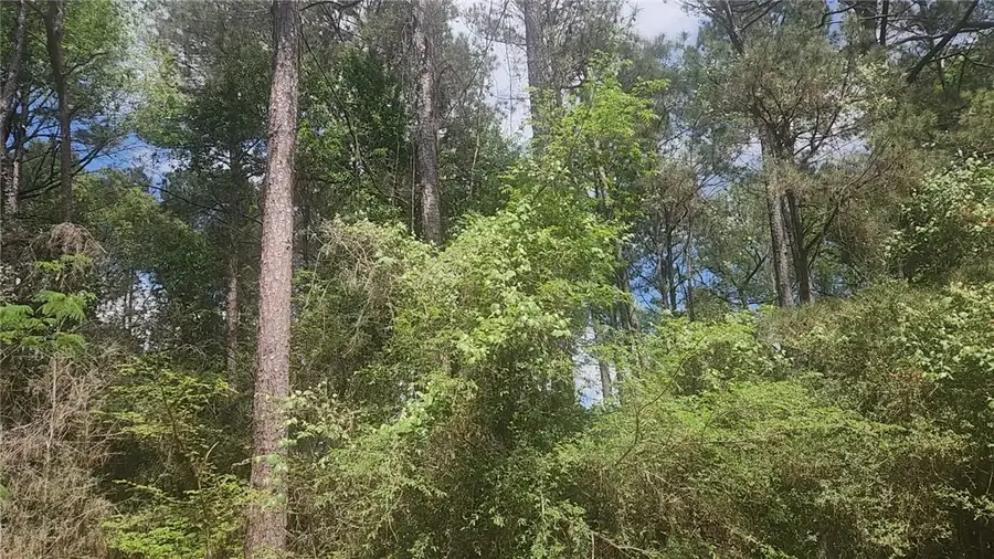 Lot 8 Soapberry Lane, Plantersville, TX 77363 - #3