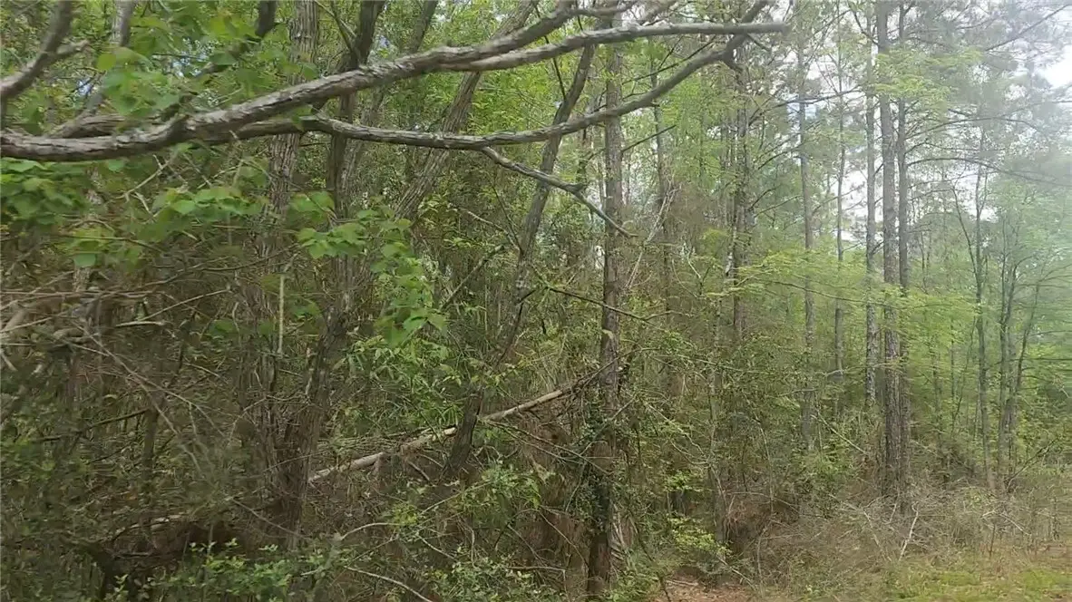 Lot 5 Pin Oak Drive, Plantersville, TX 77363 - #1