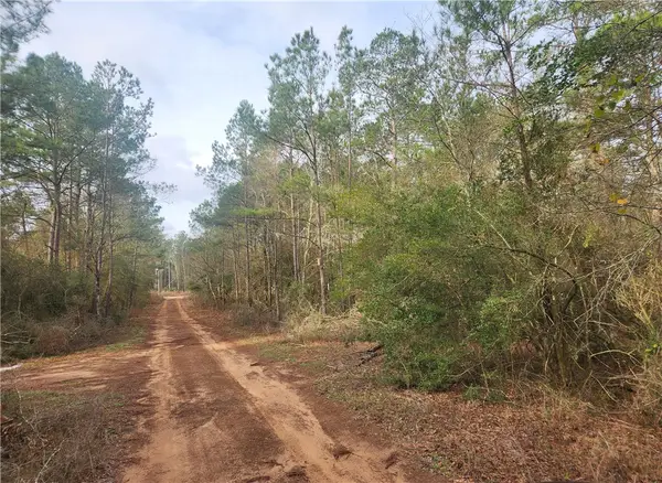 Lot 5 Pin Oak Drive, Plantersville, TX 77363