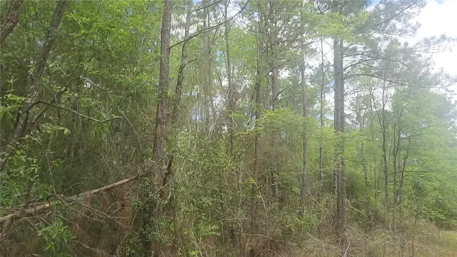 Lot 5 Pin Oak Drive, Plantersville, TX 77363 - #2