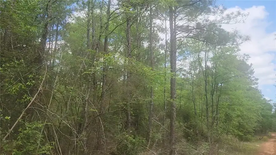 Lot 5 Pin Oak Drive, Plantersville, TX 77363 - #3