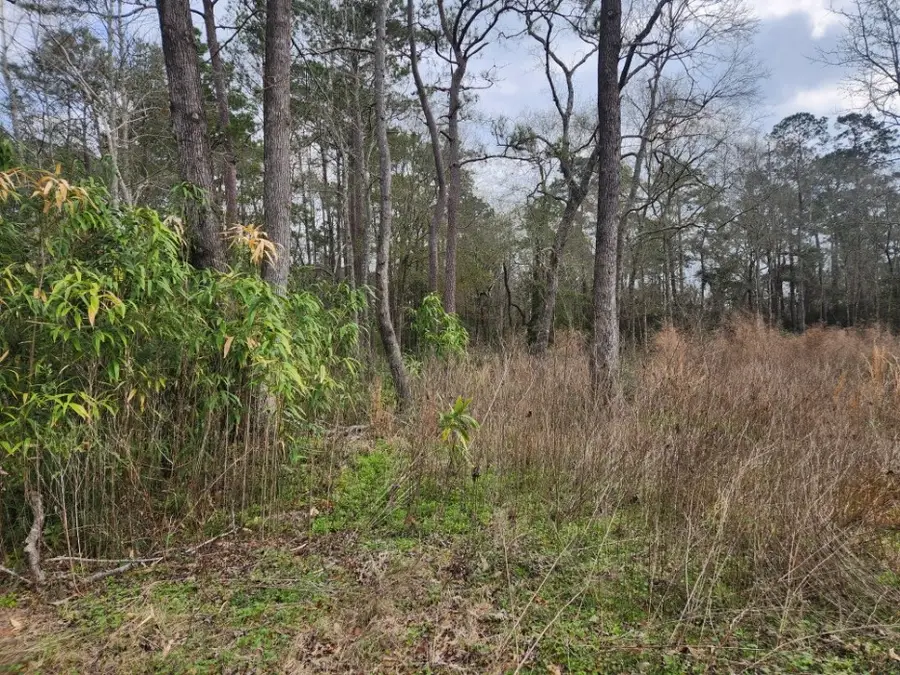 14709 Bimbo Lane, Conroe, TX 77302 - #3