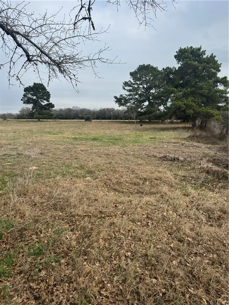 TBD Signal Street, Somerville, TX 77879 - #1