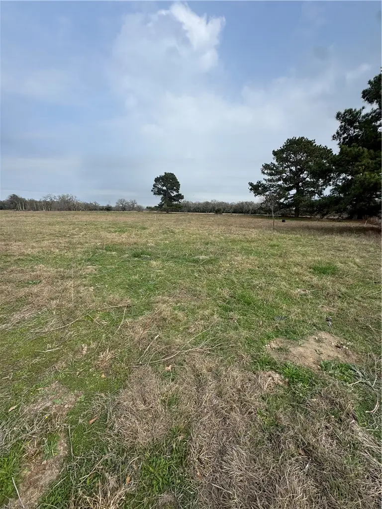 TBD Signal Street, Somerville, TX 77879 - #3