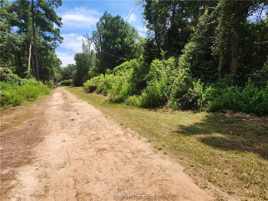 Lot 26 Mayhaw Lane, Plantersville, TX 77363 - #3