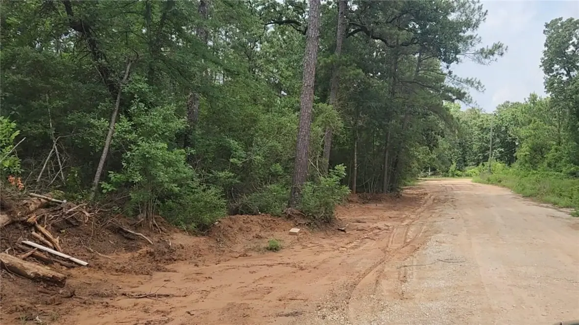 Lot 3 Scarlet Oak Drive, Plantersville, TX 77363 - #1