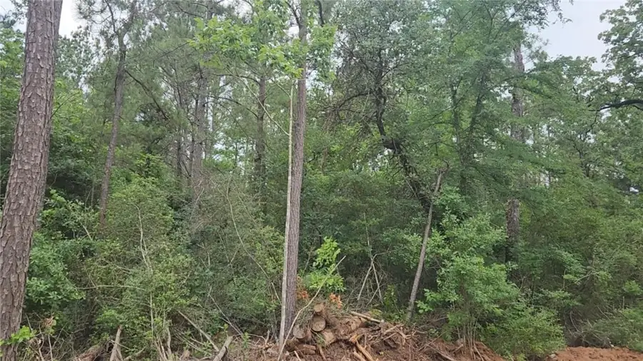 Lot 3 Scarlet Oak Drive, Plantersville, TX 77363 - #2