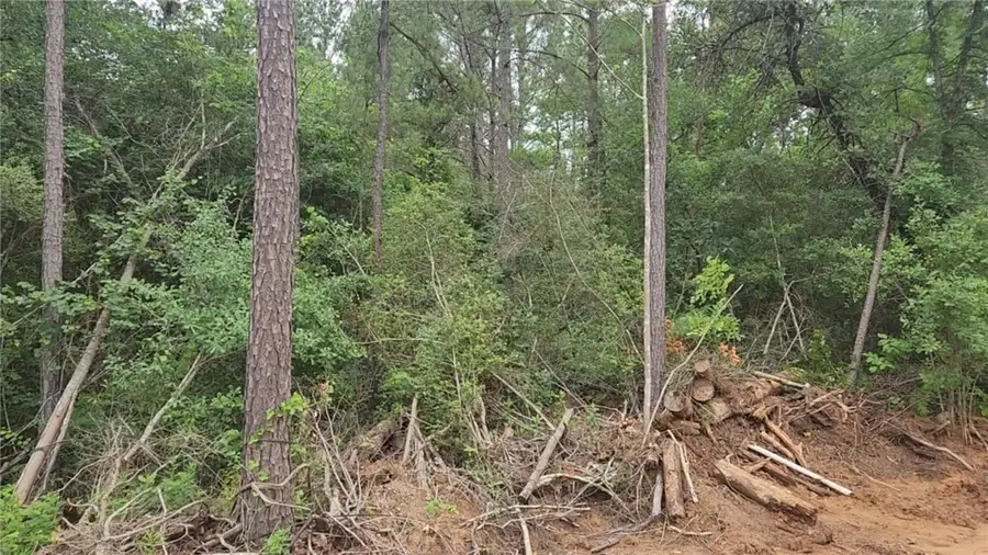 Lot 3 Scarlet Oak Drive, Plantersville, TX 77363 - #3