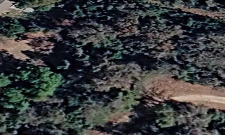 Blk 1 Lot 47 Sioux Lane, Normangee, TX 77871 - #1