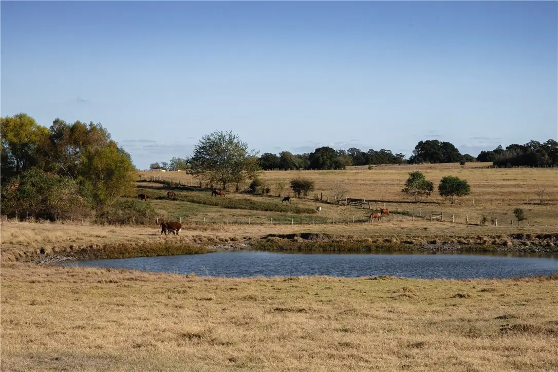 3568 Fm 50, Brenham, TX 77833 - #1