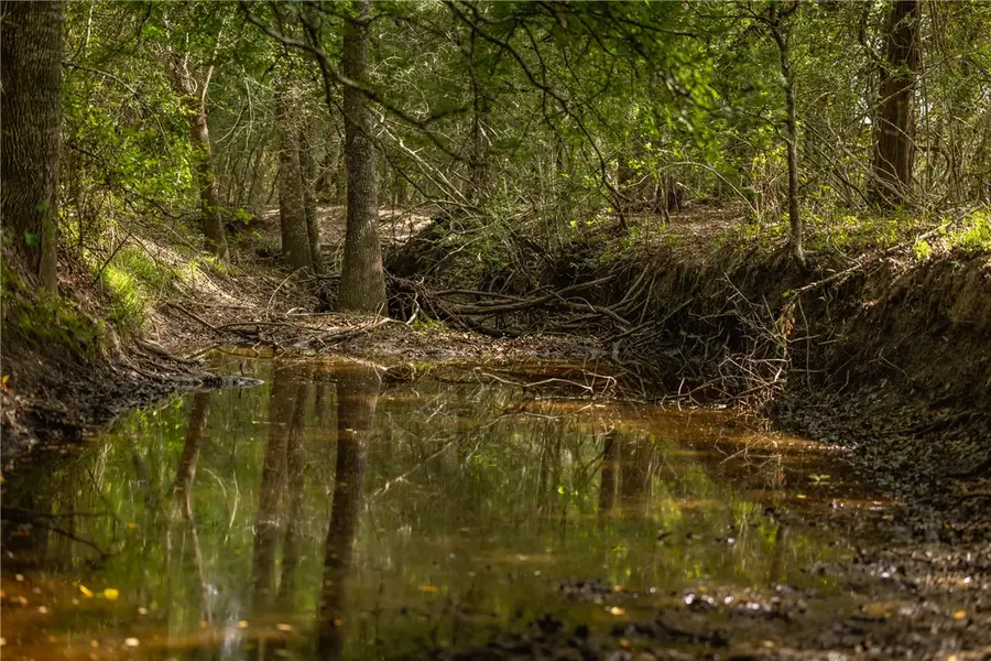 TBD Highway 77 S, Giddings, TX 78942 - #2