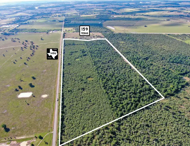 0 Fm 1486, Bellville, TX 77418 - #3