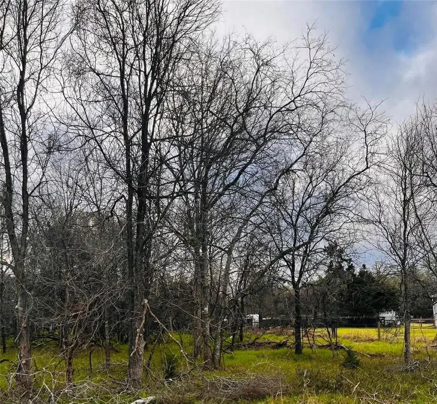 TBD Railroad Road, Somerville, TX 77879 - #3