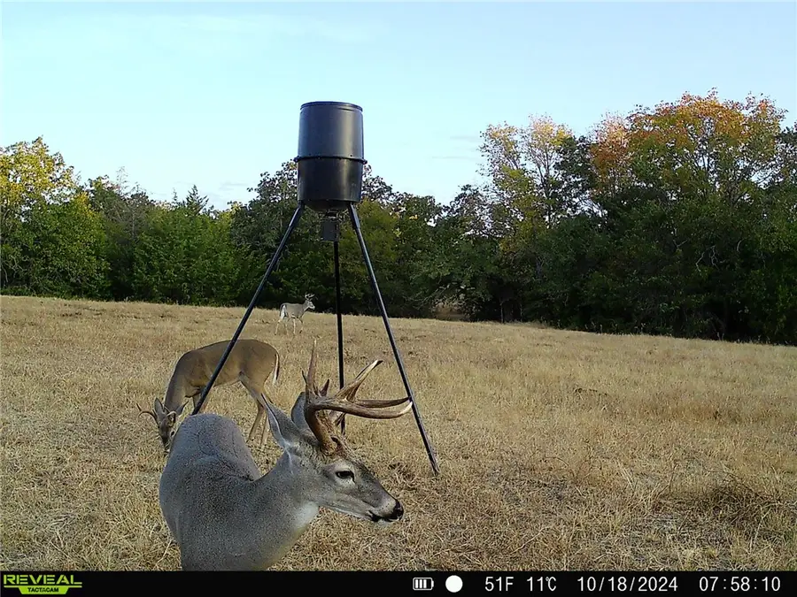 TBD Cr 415, Somerville, TX 77879 - #3