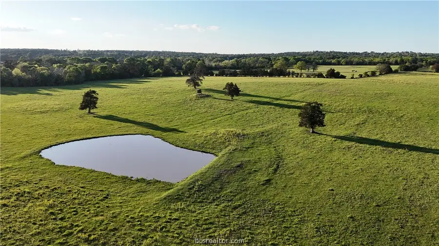 3607 County Road 176, Bedias, TX 77831 - #3