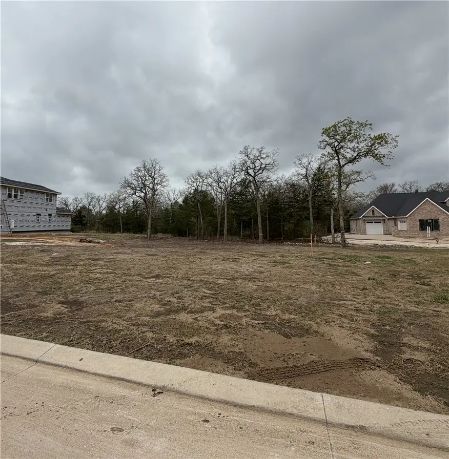 1714 Hidalgo Pass Court, College Station, TX 77845 - #2