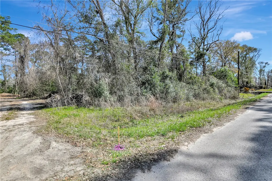 TBD Lot 112 White Birch Lane, Conroe, TX 77385 - #1