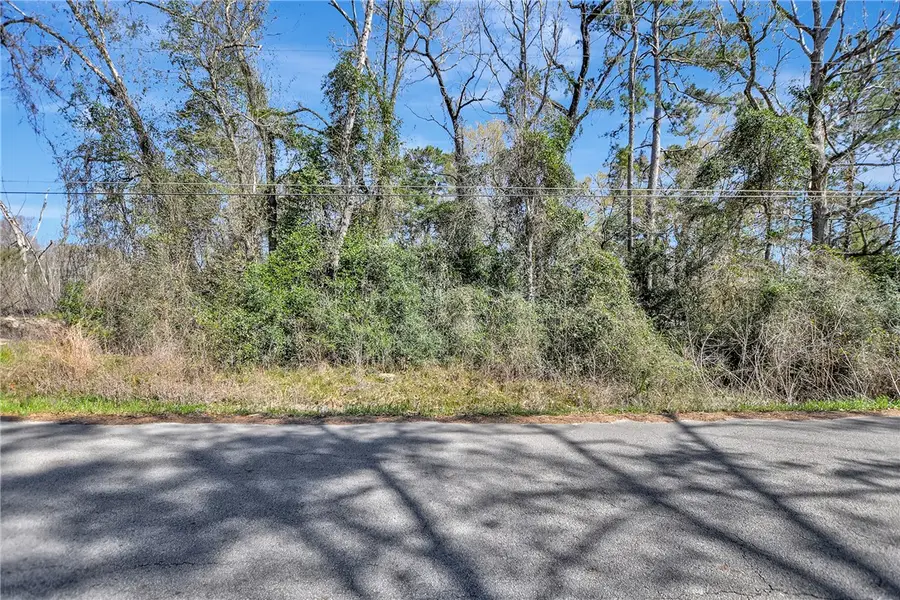 TBD Lot 112 White Birch Lane, Conroe, TX 77385 - #2