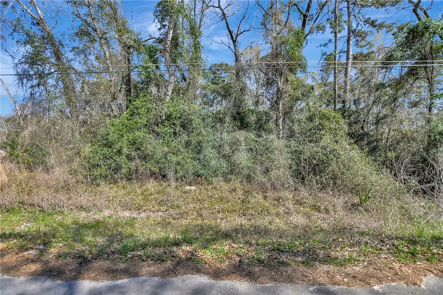 TBD Lot 112 White Birch Lane, Conroe, TX 77385 - #3