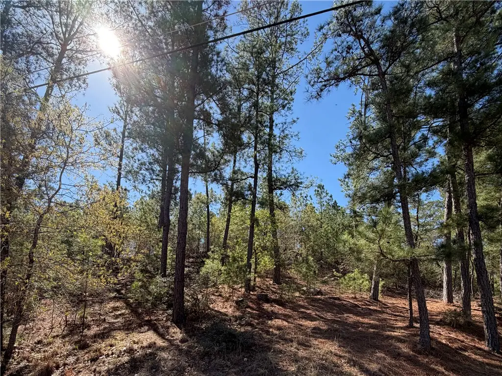 TBD Mamalu Drive, Bastrop, TX 78602 - #1