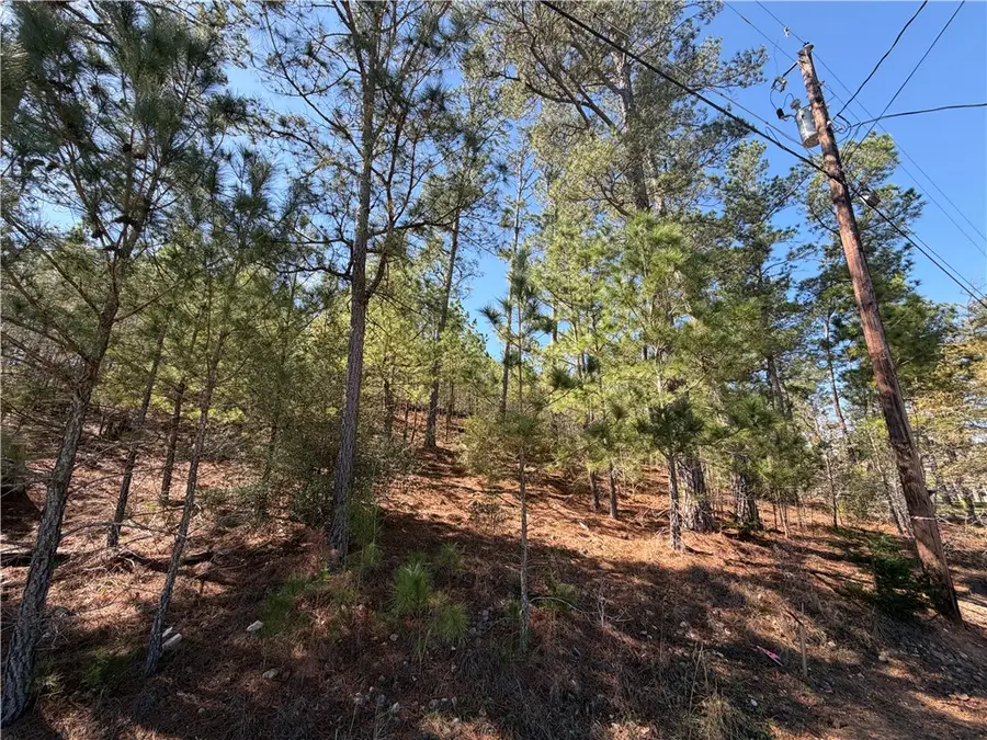 TBD Mamalu Drive, Bastrop, TX 78602 - #3