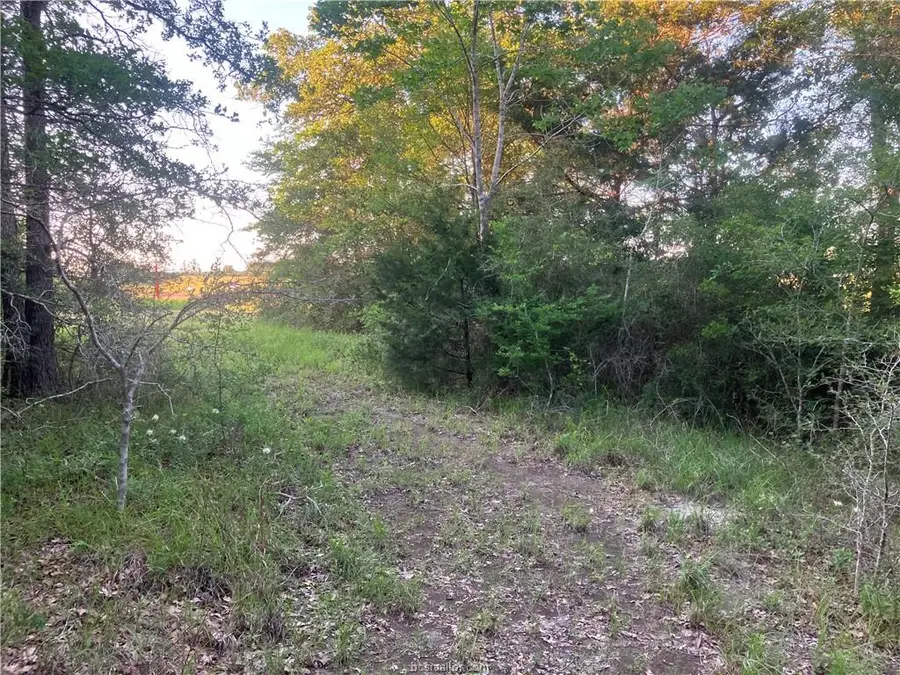 TBD Tx-6 Highway S, Navasota, TX 77868 - #3