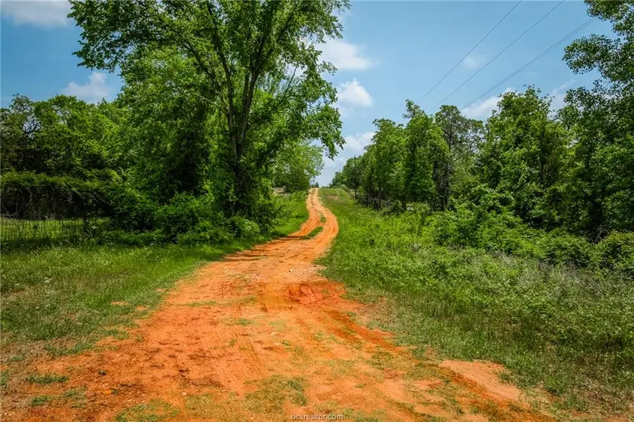 10025 Private Road 1014 Road, Caldwell, TX 77836 - #3