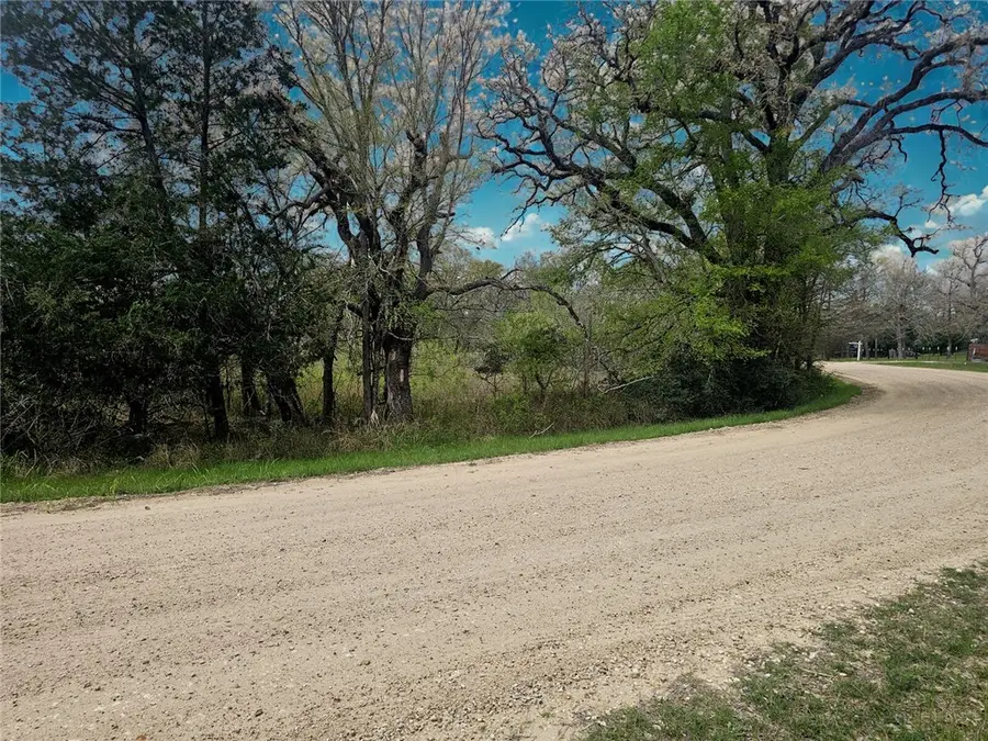 TBD Berry Creek Drive, Caldwell, TX 77836 - #2