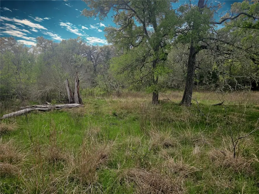 TBD Berry Creek Drive, Caldwell, TX 77836 - #3