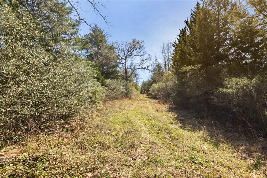 TBD Pr 3891, Jewett, TX 75846 - #2