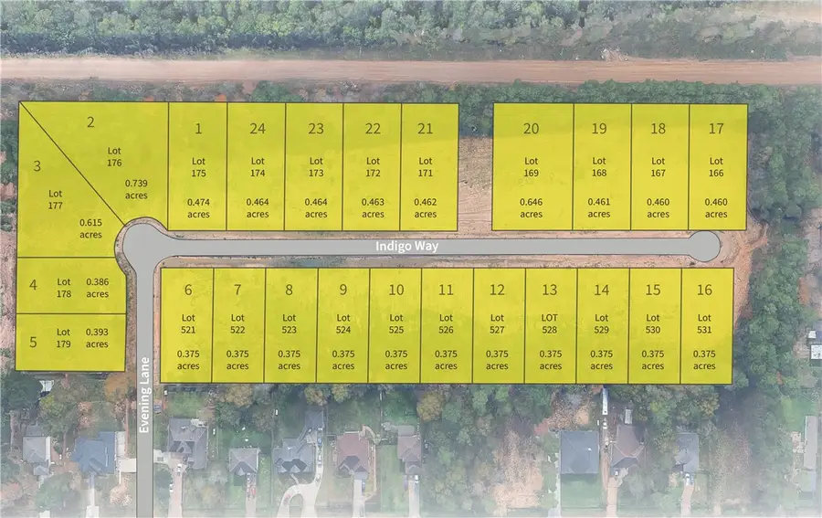 Lot 171 Indigo Way, Porter, TX 77365 - #3