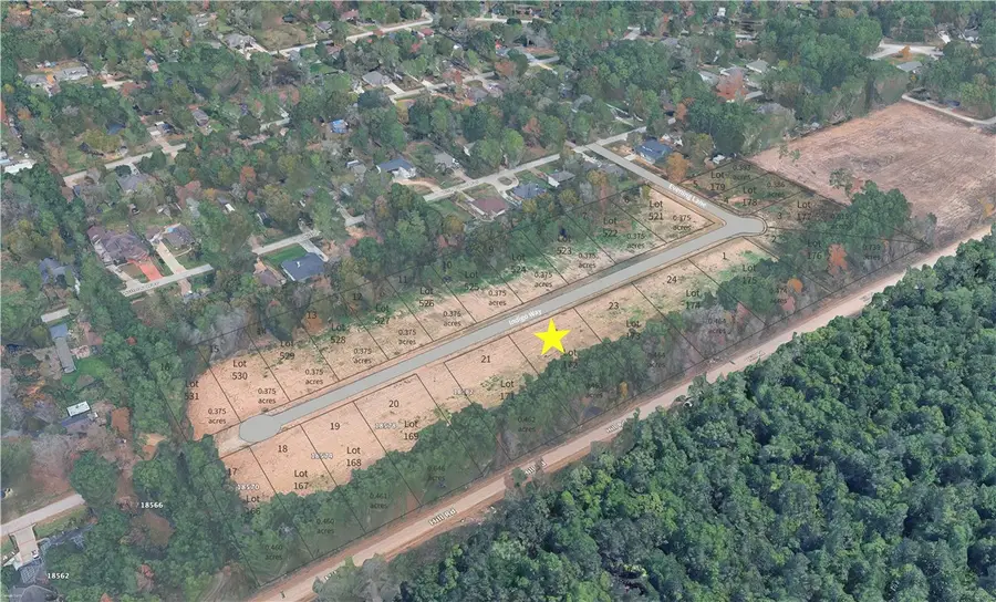 Lot 172 Indigo Way, Porter, TX 77365 - #2