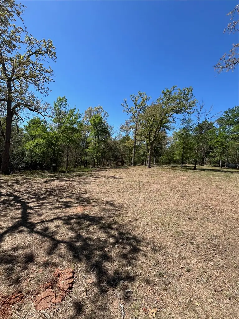 409 Bengals Bend, Somerville, TX 77879 - #3