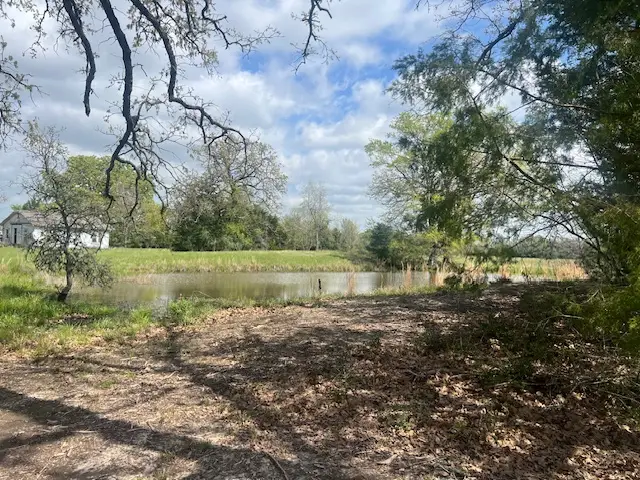 17303 Highway 21 W, North Zulch, TX 77872 - #3