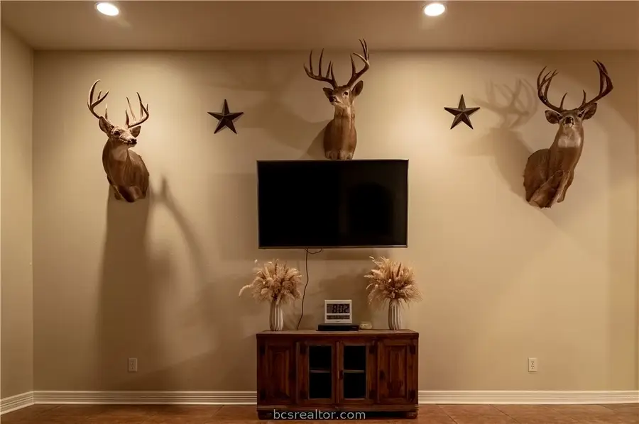 202 Golfview Drive, Hilltop Lakes, TX 77871 - #3