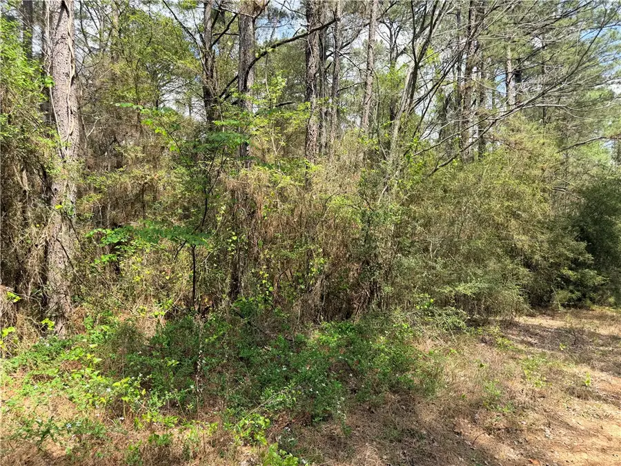 4341 & 4365 North Oaks Drive, Navasota, TX 77868 - #3