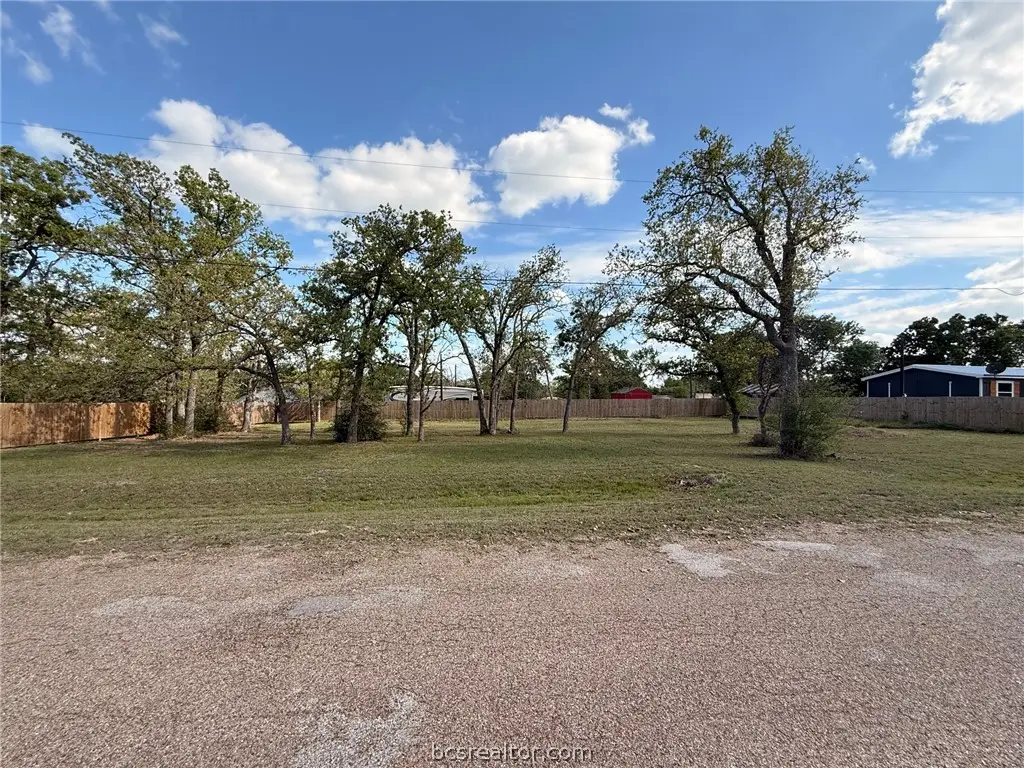000 Shady Oaks Drive, Somerville, TX 77879 - #1