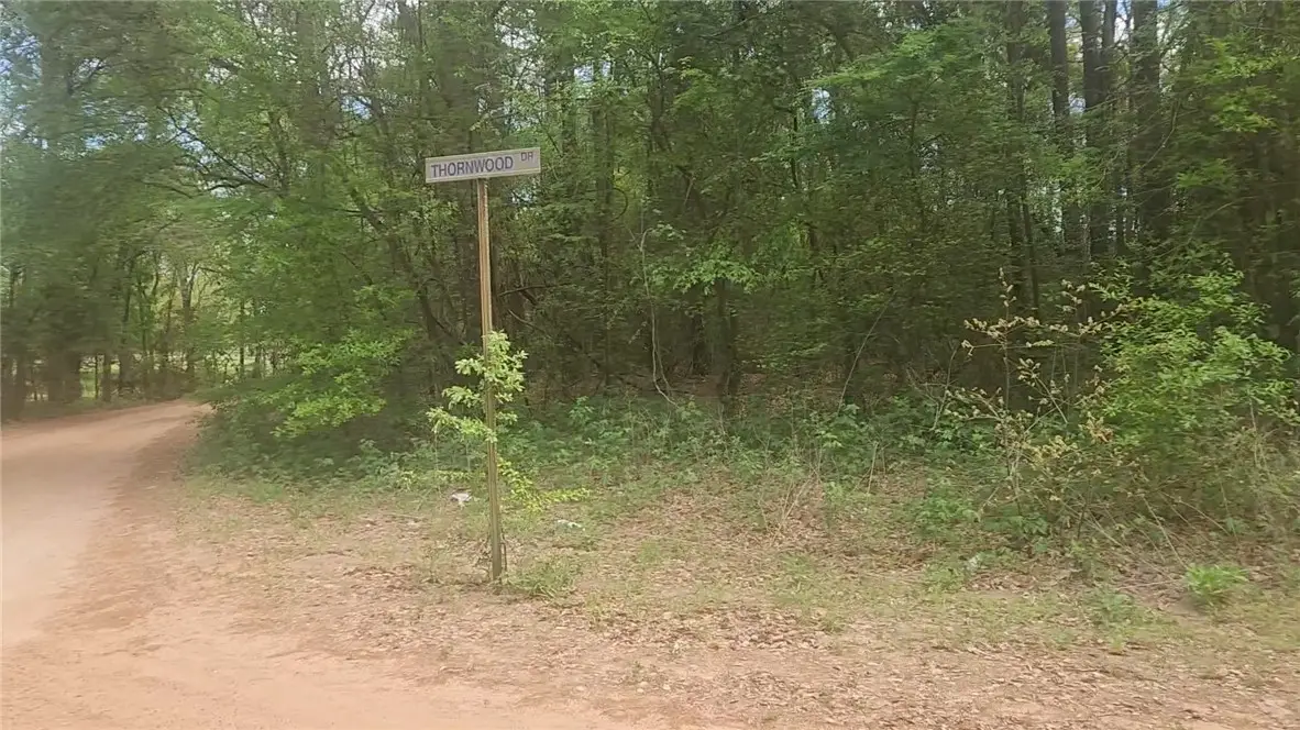 Lot 1 Thornwood Drive, Plantersville, TX 77363 - #1
