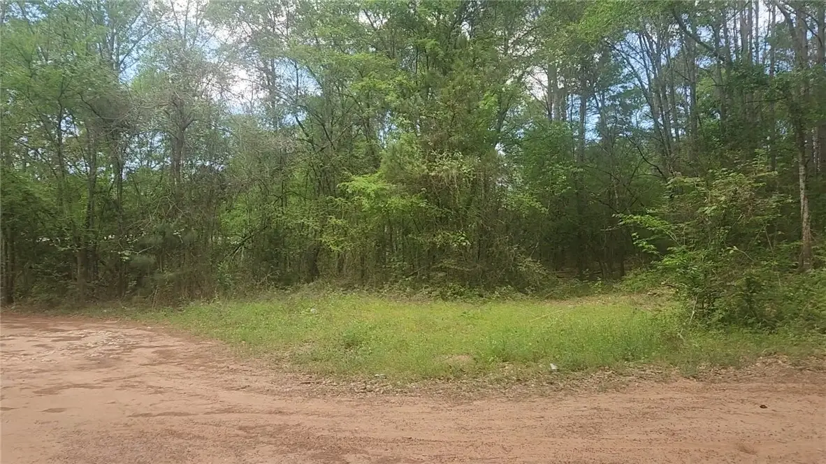 Lot 6 Thornwood Drive, Plantersville, TX 77363 - #1