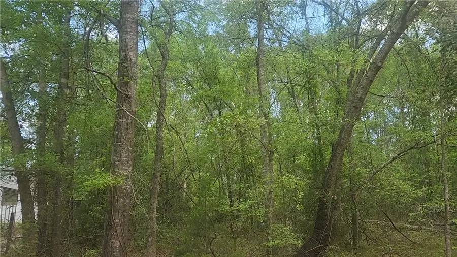 Lot 6 Thornwood Drive, Plantersville, TX 77363 - #3