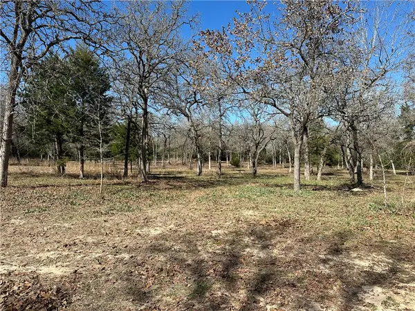 9820 Deer Ridge Lane, Bryan, TX 77808