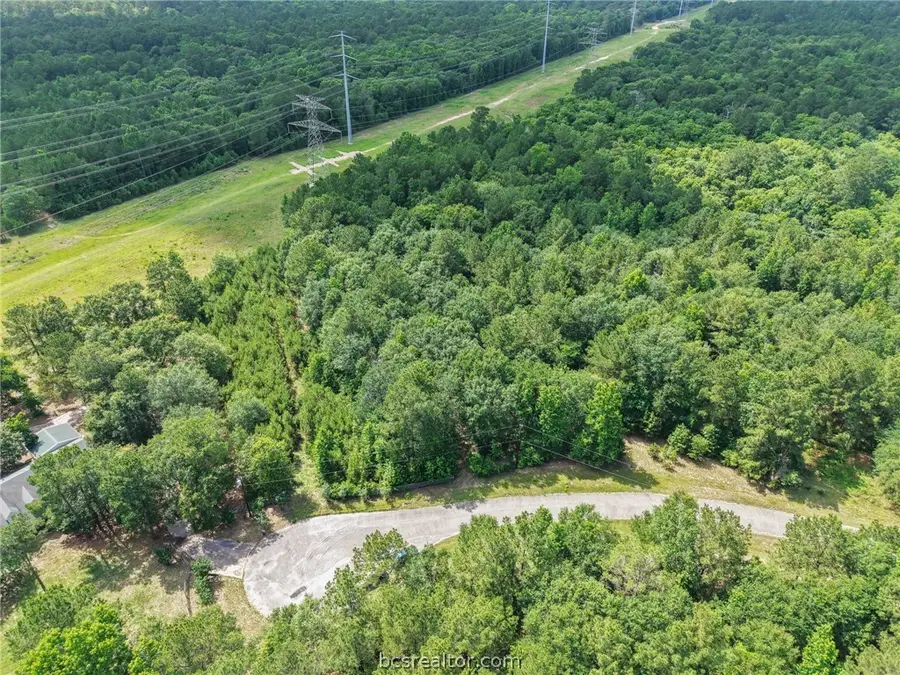 TBD Horseshoe Bend, Waller, TX 77484 - #2