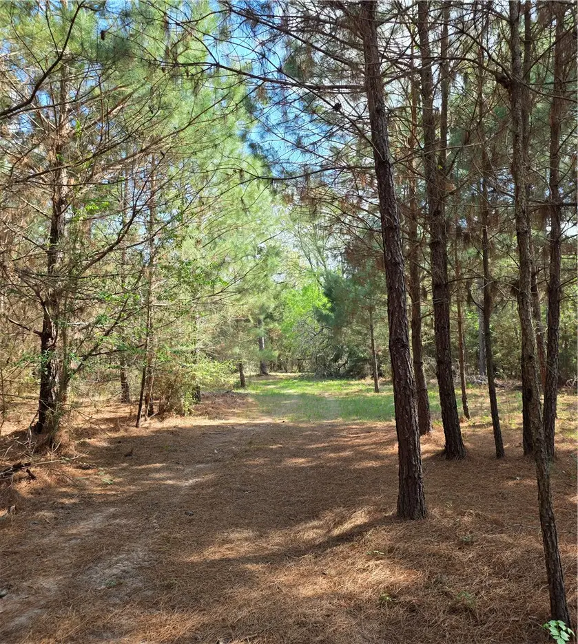 9118 Hazy Hollow Lane, Anderson, TX 77830 - #1