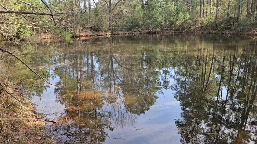 9118 Hazy Hollow Lane, Anderson, TX 77830 - #2