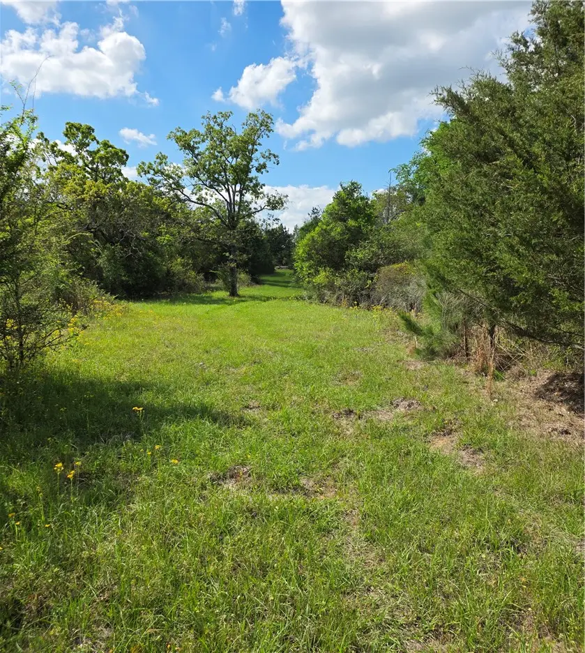 9118 Hazy Hollow Lane, Anderson, TX 77830 - #3