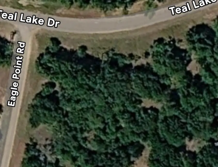 597 Teal Lake Drive, Caldwell, TX 77836 - #3